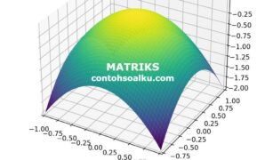 Contoh Soal Matriks, Determinan, Invers, Matriks Transpose